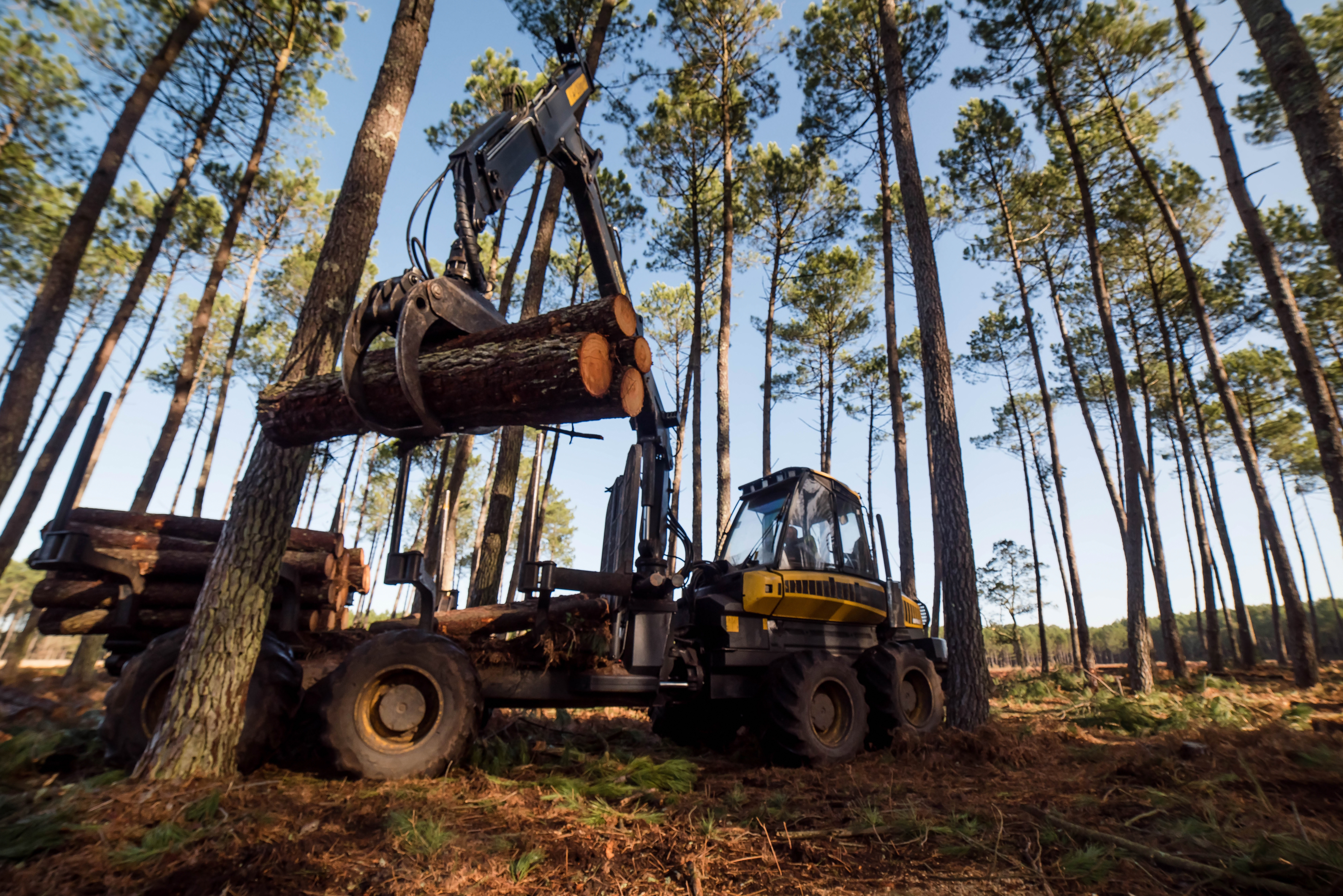 Investīcijas inovācijās – galvenais meža nozares dzinējspēks